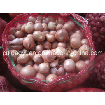 Chinese Small Red Onion with Mesh Bag